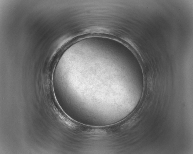 X0000081281115200701181736