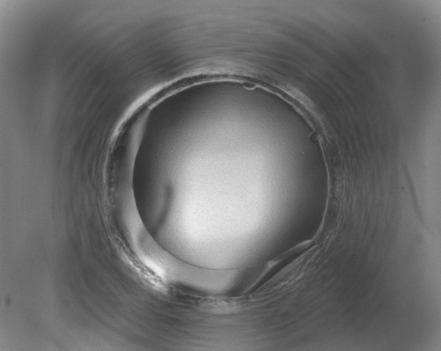 X0000081281120200701181736