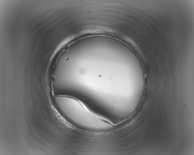 X0000081281122200701181736
