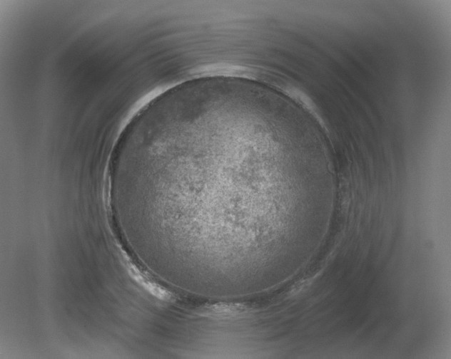 X0000081281125200701181736