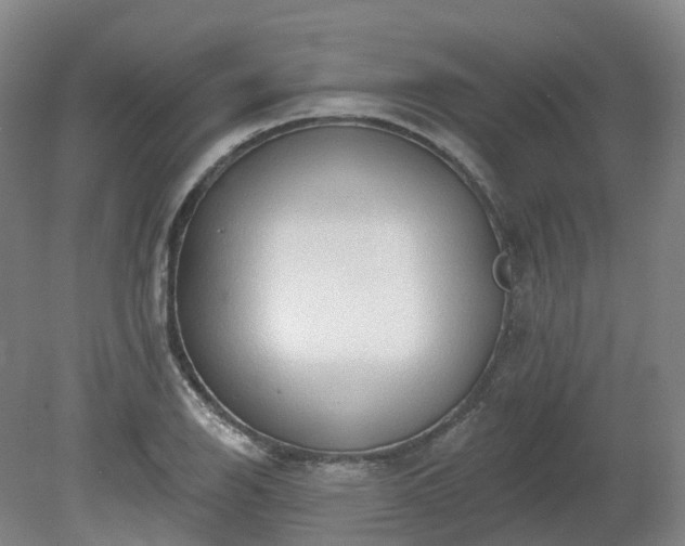 X0000081281126200701181736
