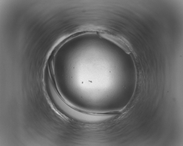 X0000081281128200701181736