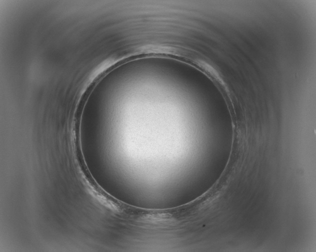 X0000081281133200701181736