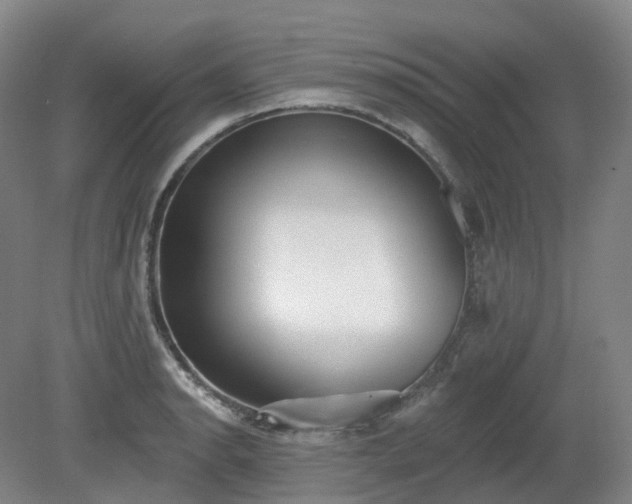 X0000081281134200701181736