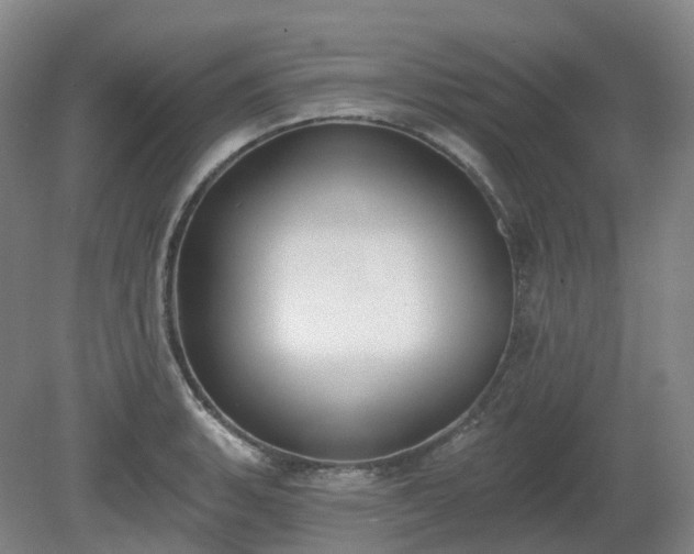 X0000081281135200701181736