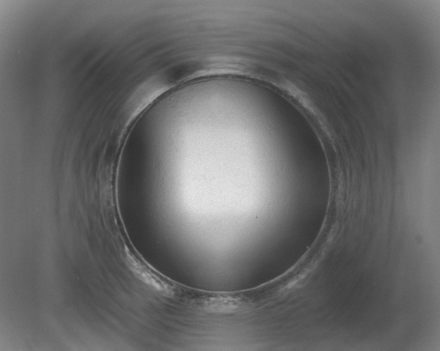X0000081281137200701181736