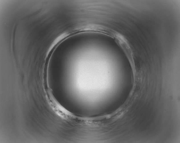 X0000081281138200701181736