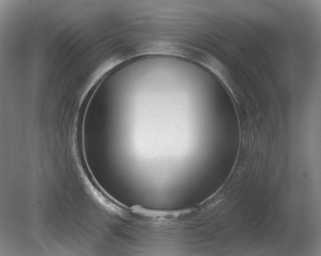 X0000081281139200701181736