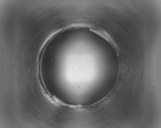 X0000081281140200701181736