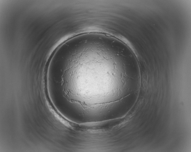 X0000081281142200701181736