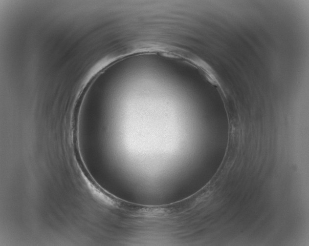 X0000081281143200701181736