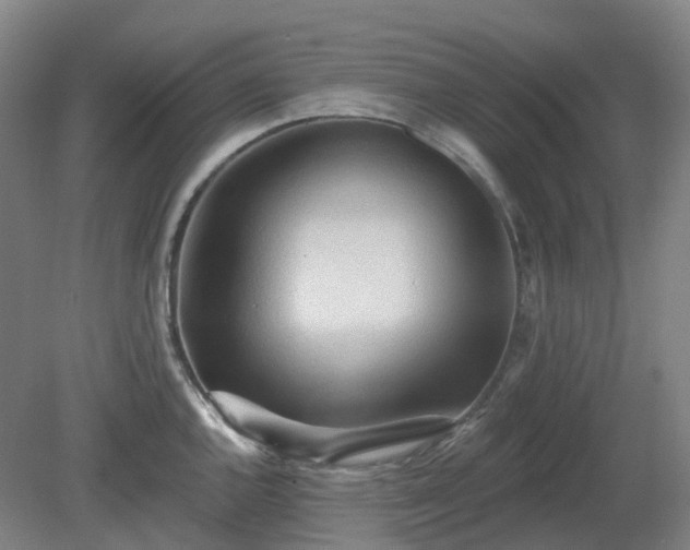 X0000081281144200701181736