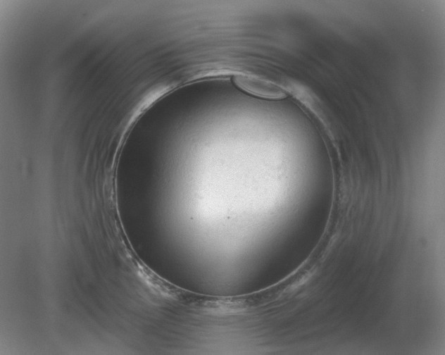 X0000081281145200701181736