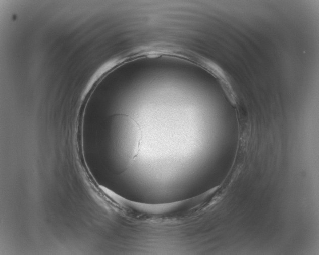 X0000081281146200701181736