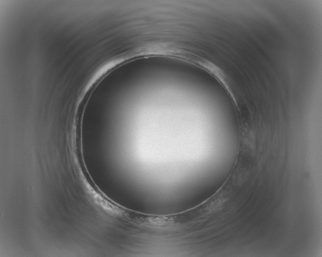 X0000081281147200701181736
