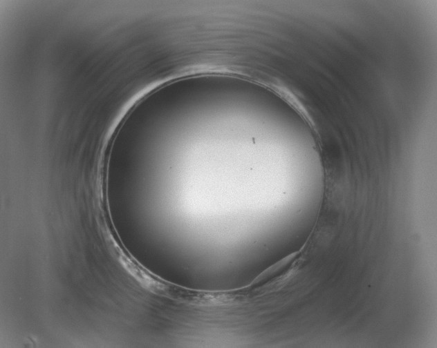 X0000081281148200701181736