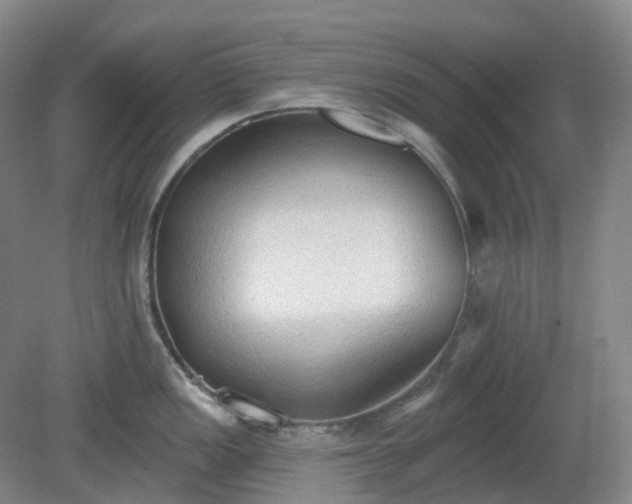 X0000081281149200701181736