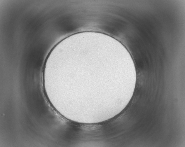 X0000081281150200701181736