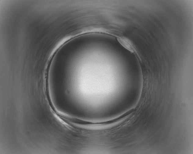 X0000081281151200701181736
