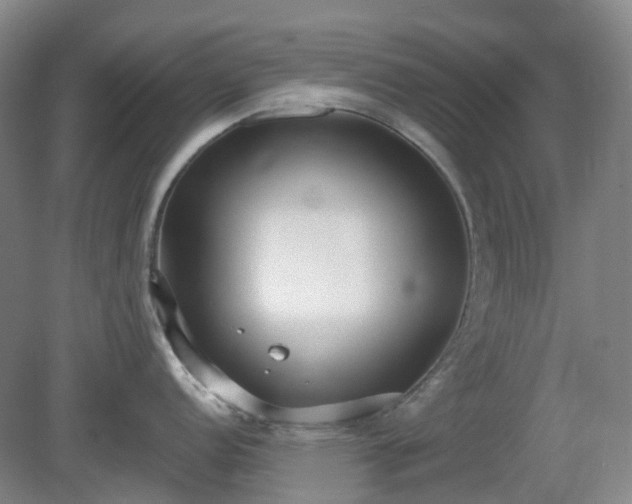 X0000081281152200701181736