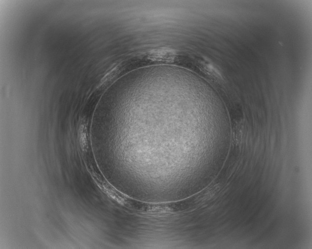 X0000081281154200701181735