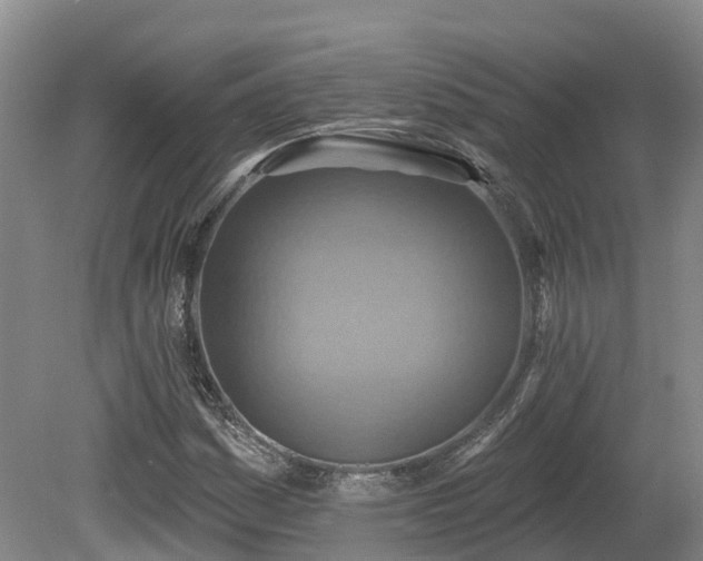 X0000081281161200701181735