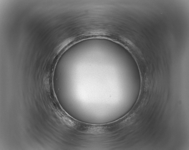 X0000081281162200701181735