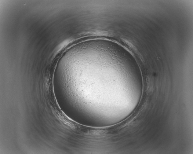 X0000081281163200701181735