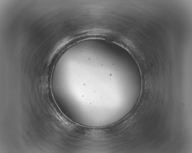 X0000081281164200701181735