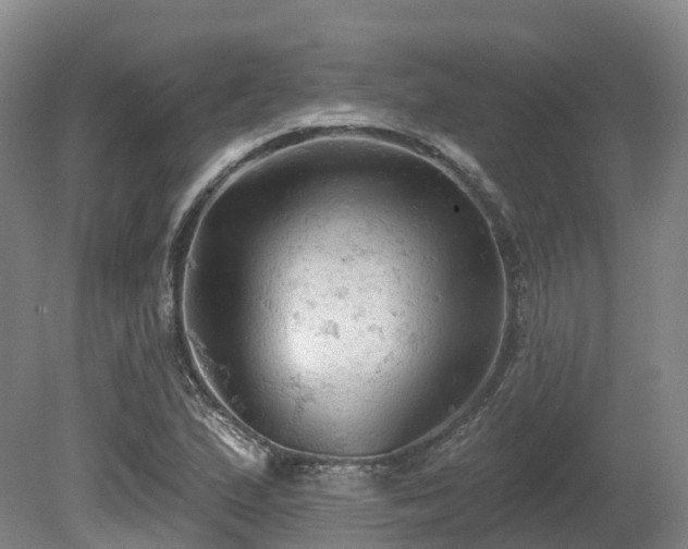 X0000081281167200701181735