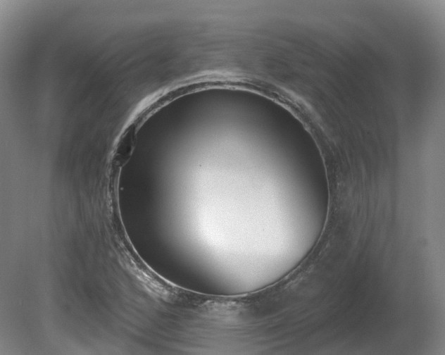 X0000081281168200701181735
