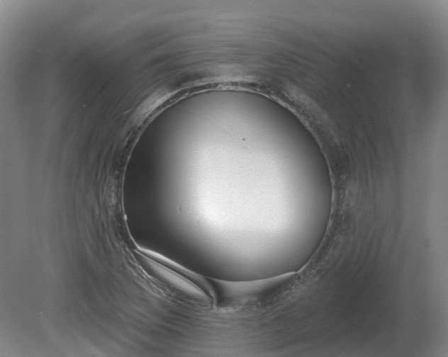 X0000081281169200701181735