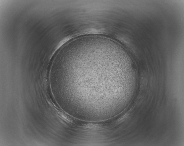 X0000081281170200701181735