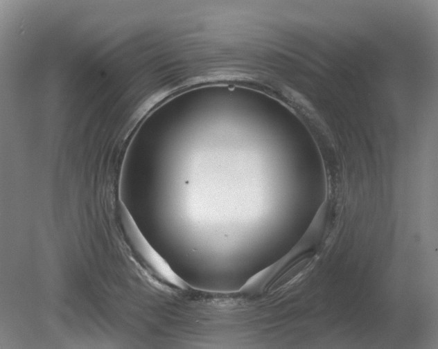 X0000081281177200701181735