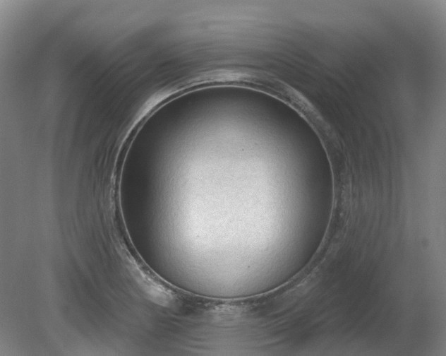 X0000081281178200701181735