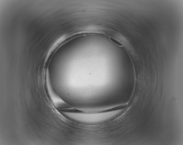 X0000081281180200701181735