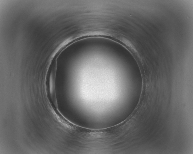 X0000081281181200701181735