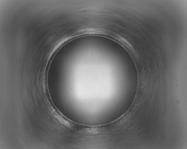 X0000081281182200701181735