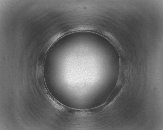 X0000081281185200701181735