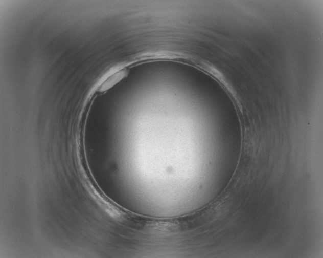 X0000081281187200701181735