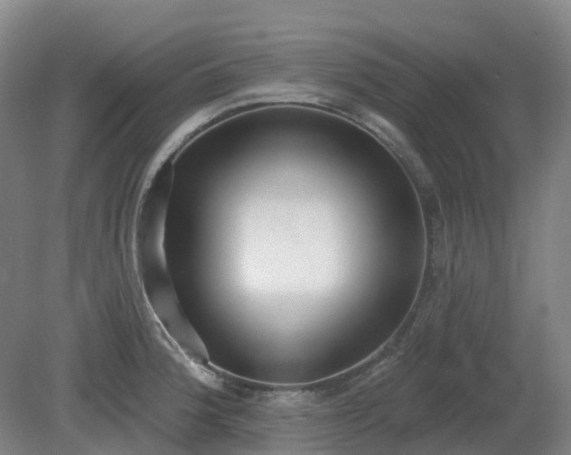 X0000081281188200701181735