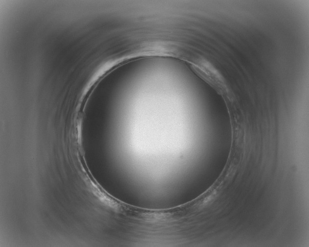 X0000081281192200701181735