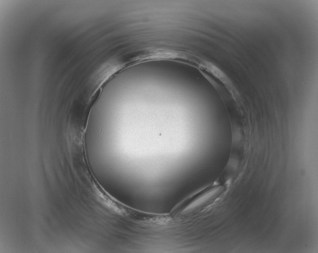 X0000081281193200701181735