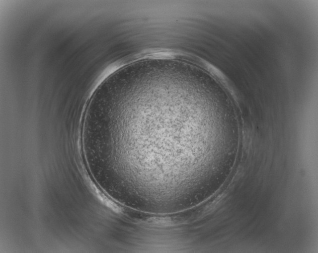 X0000081281194200701181735
