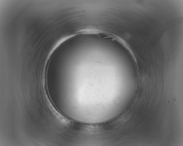 X0000081281195200701181735