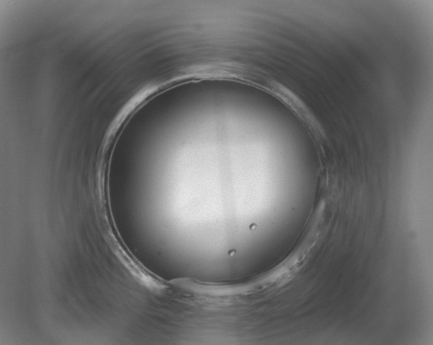 X0000081281196200701181735