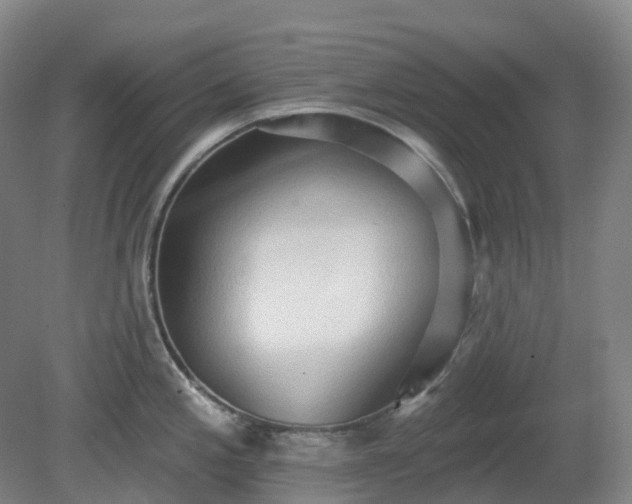 X0000081281197200701181735