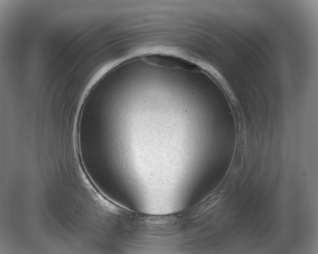 X0000081281199200701181735
