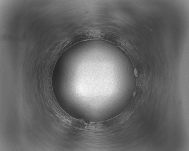 X0000081281201200701181734