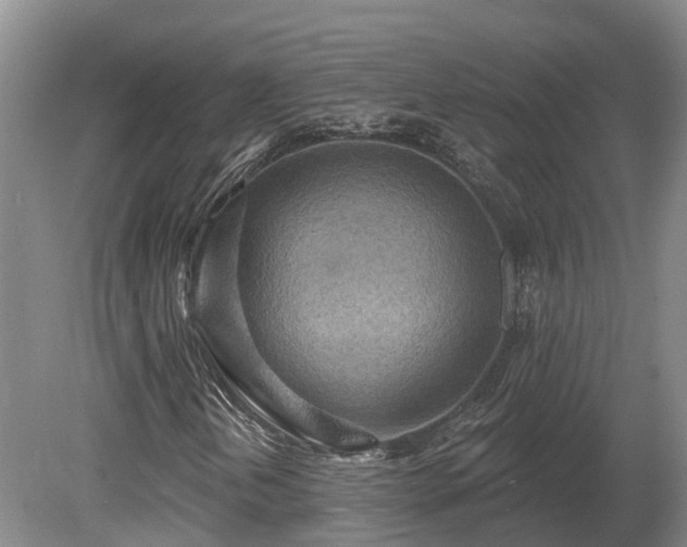 X0000081281202200701181734